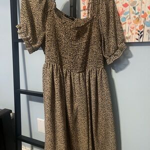 Elegant Black and Tan Women's Dress